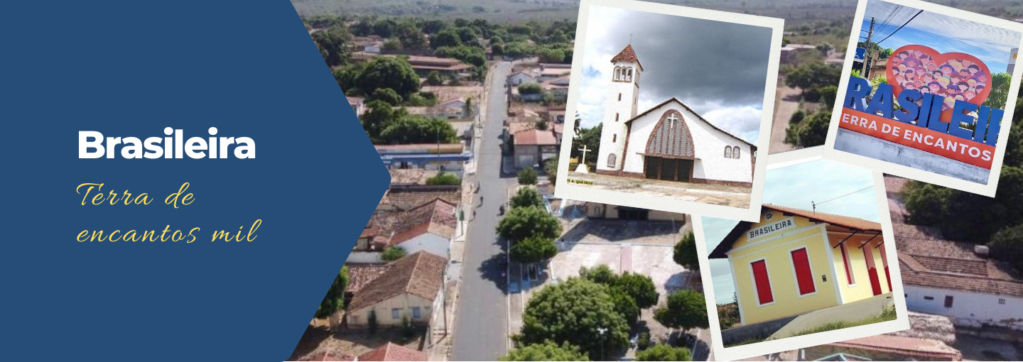 Banner Câmara Brasileira