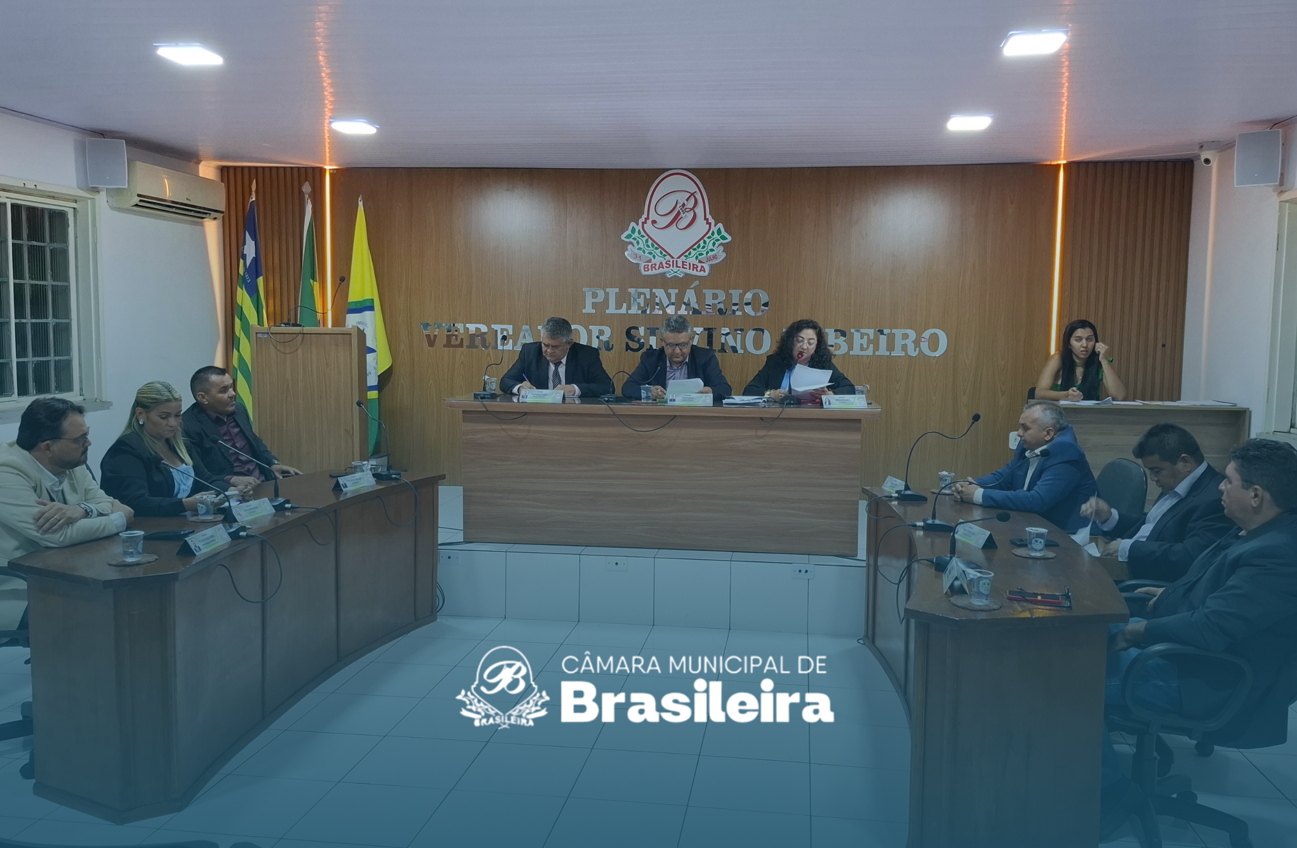 29ª Sessão Ordinária: Iluminação Pública, Taxa de Resíduos e Conselho da Mulher em Pauta